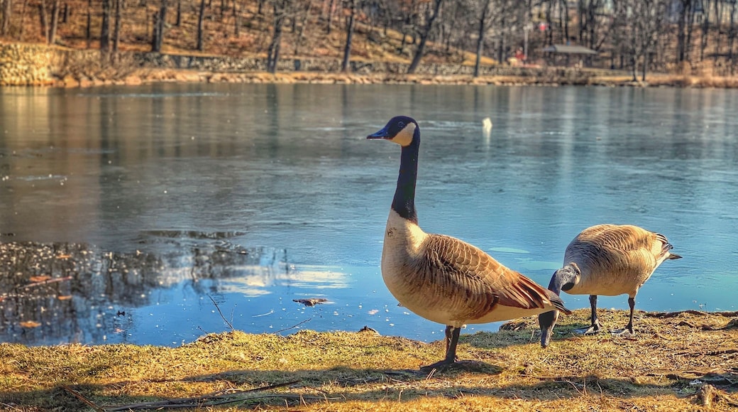 Something’s in its mind.... I guess