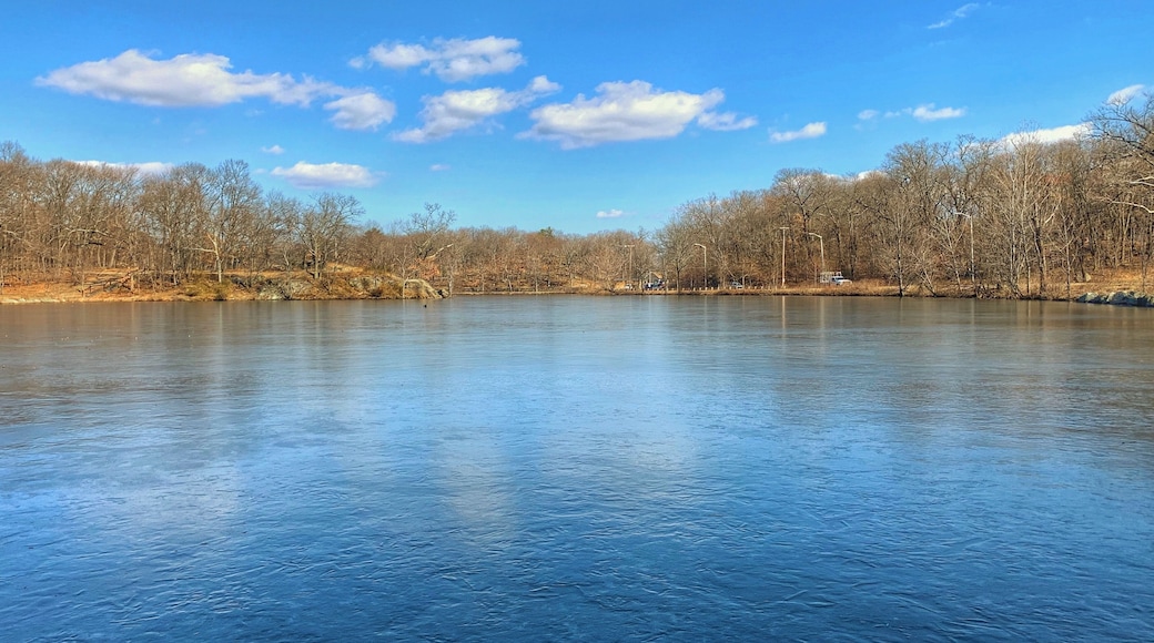Winter day!
Water surface has become ice...