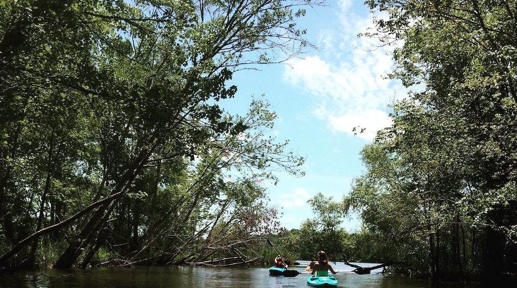 This is a little hidden nook in a cove cove past the state park--it's probably my fav place on this muddy lake!