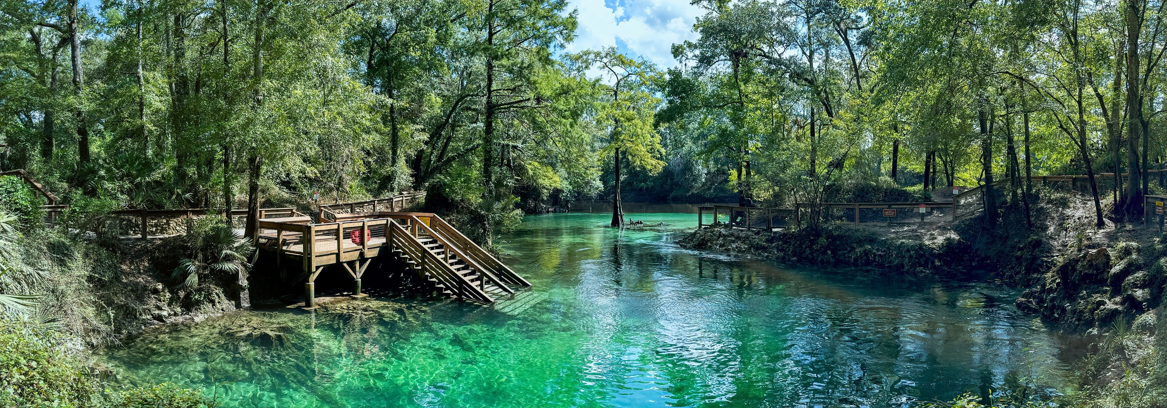 Madison Blue Springs, Madison Blue Springs State Park, Florida