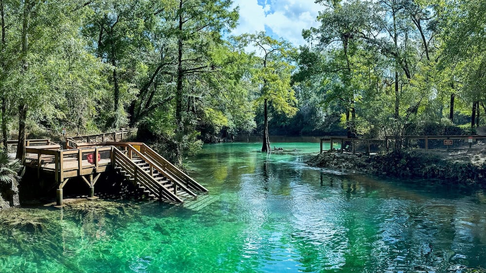 Madison Blue Springs, Madison Blue Springs State Park, Florida