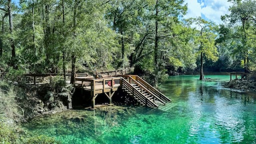 Madison Blue Springs, Madison Blue Springs State Park, Florida