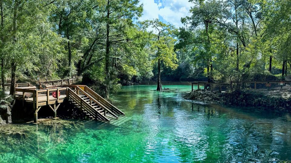 A clear river with wooden walkways and a bridge, surrounded by dense forest.