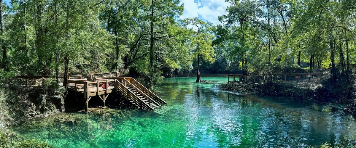 A clear river with wooden walkways and a bridge, surrounded by dense forest.