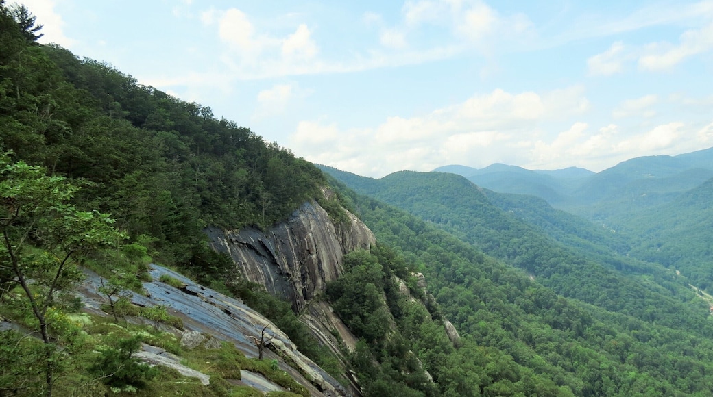 You can get a gorgeous view at the end of the Skyline Trail in Chimney Rock State Park. A popular trail so it is well maintained and pretty moderate to hike.