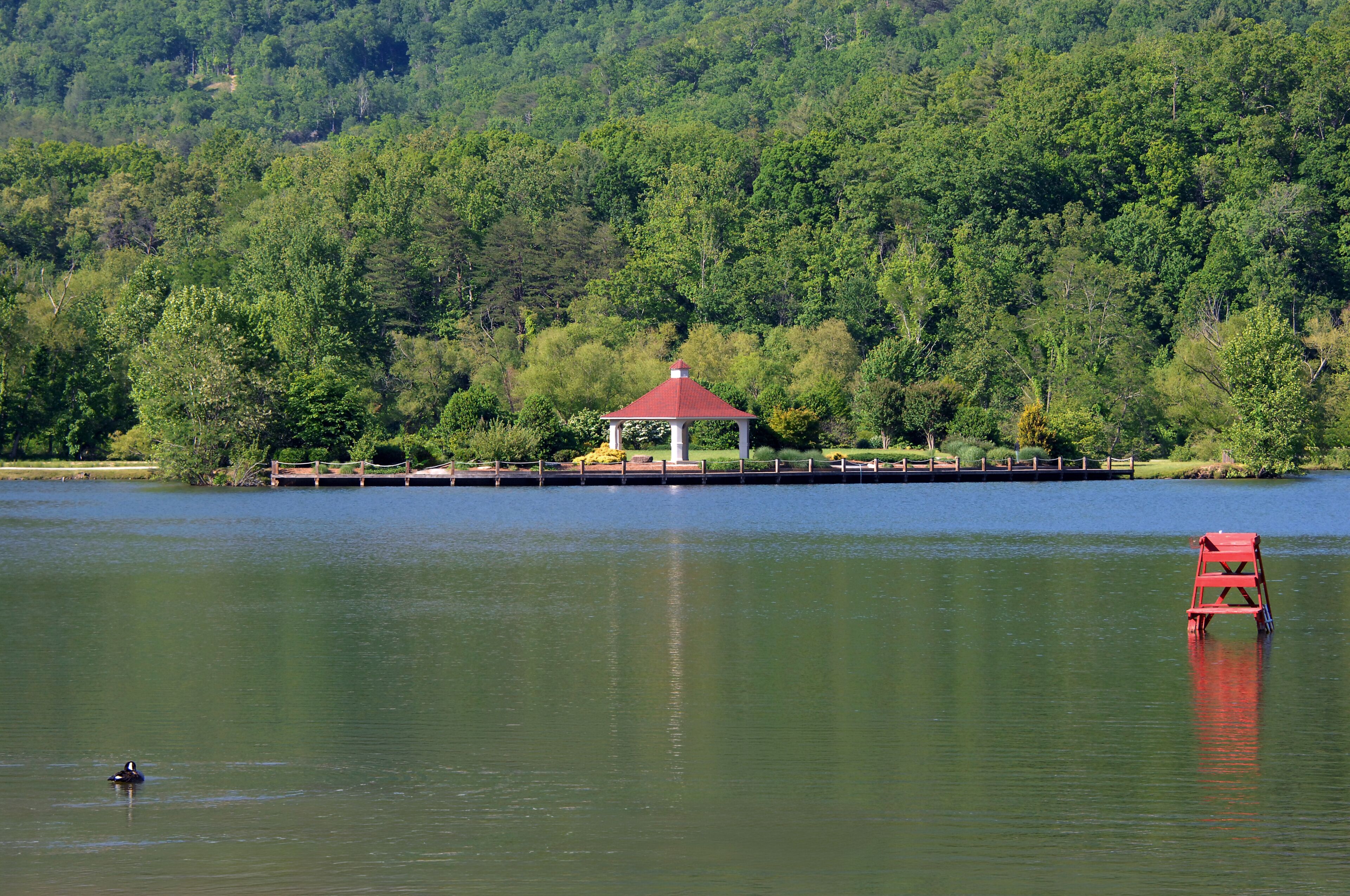 Lake Lure
