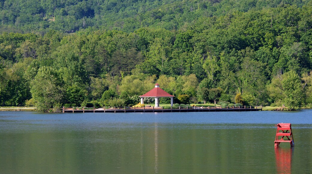 Lake Lure