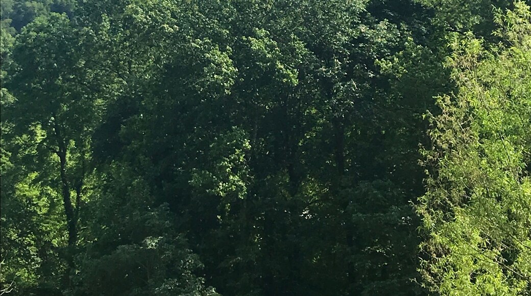 View of Chimney Rock from the ground.