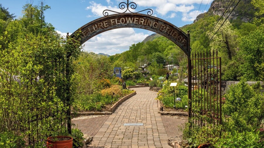 Such a beautiful place to visit. For more information about the bridge, check out this video: https://www.hdcarolina.com/episode/lake-lure-flowering-bridge