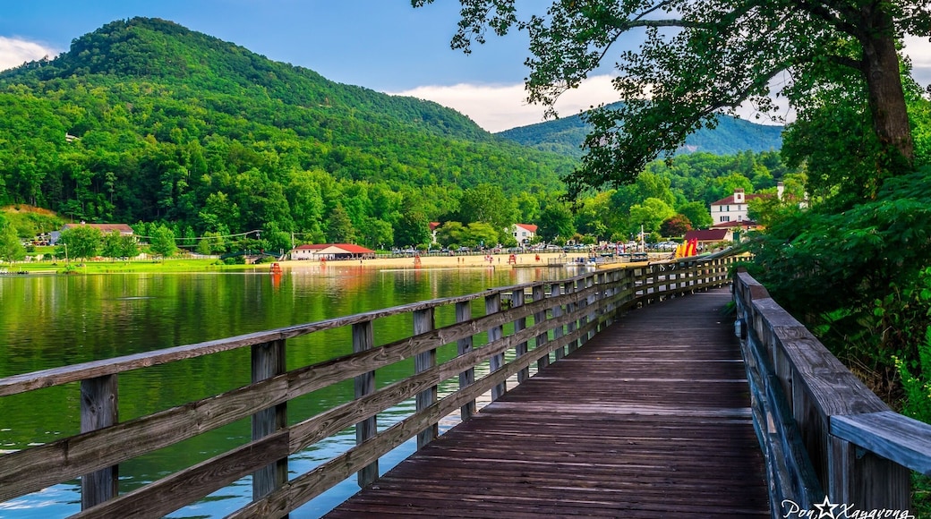 Just outside the hotel the beach is full of beautiful palm trees.. I just sat and enjoyed the sunset as the colors changes in the sky.
#sunset #beach #Jamaica #ocean