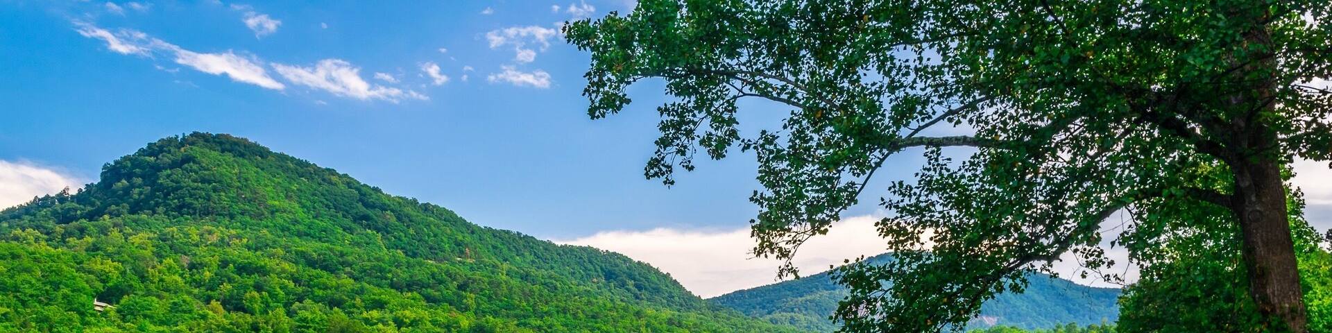 Just outside the hotel the beach is full of beautiful palm trees.. I just sat and enjoyed the sunset as the colors changes in the sky.
#sunset #beach #Jamaica #ocean