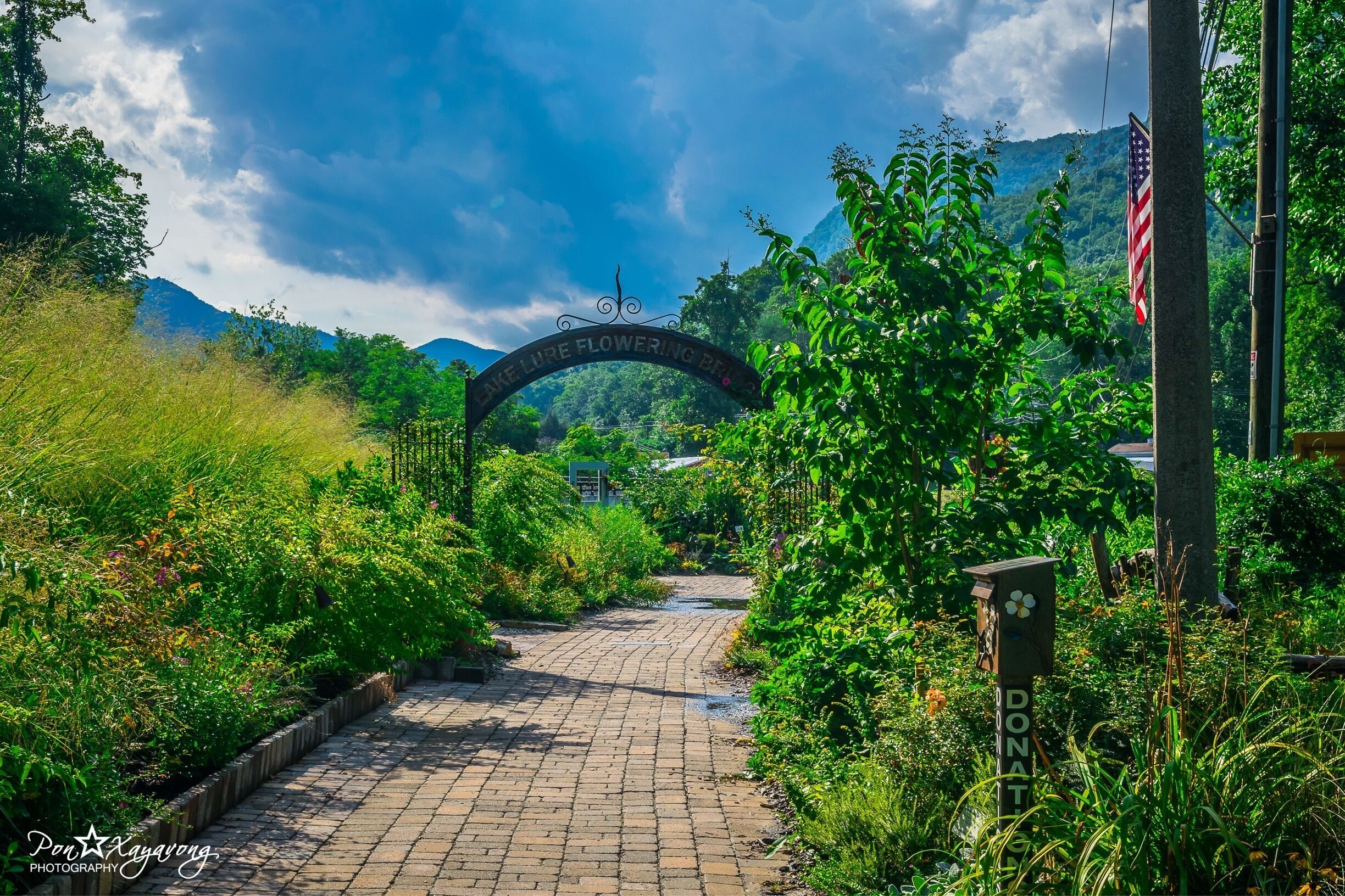 A garden pathway leading to a sign that reads "Lake Lure Flowering Park."