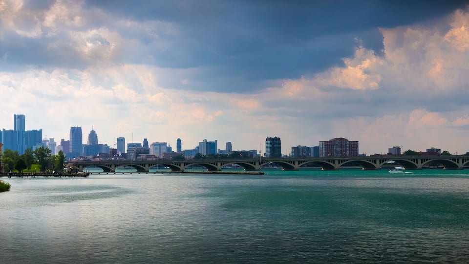 A river with a bridge, a city skyline, and a park with trees.