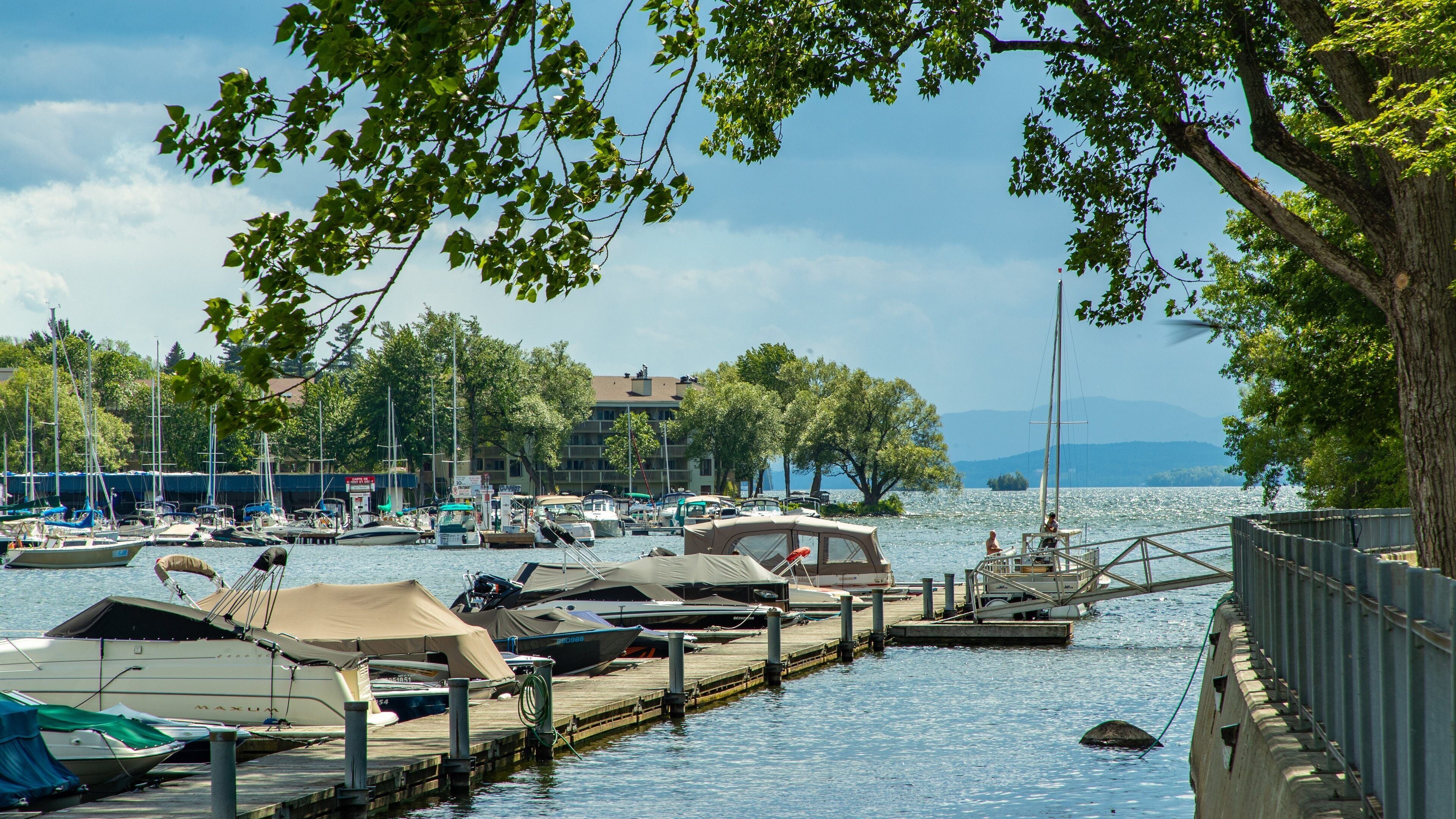 A marina with boats docked, a dock extending into the water, and a tree-lined shore.