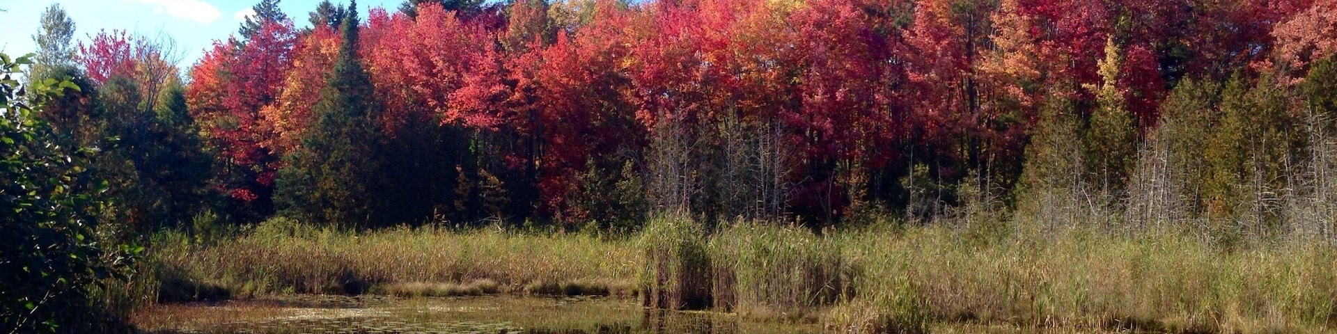 Le Québec comme je je rêvais 😊 mais en vrai