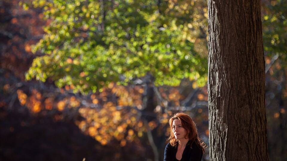 A person sitting under a tree with yellow leaves in a forest.