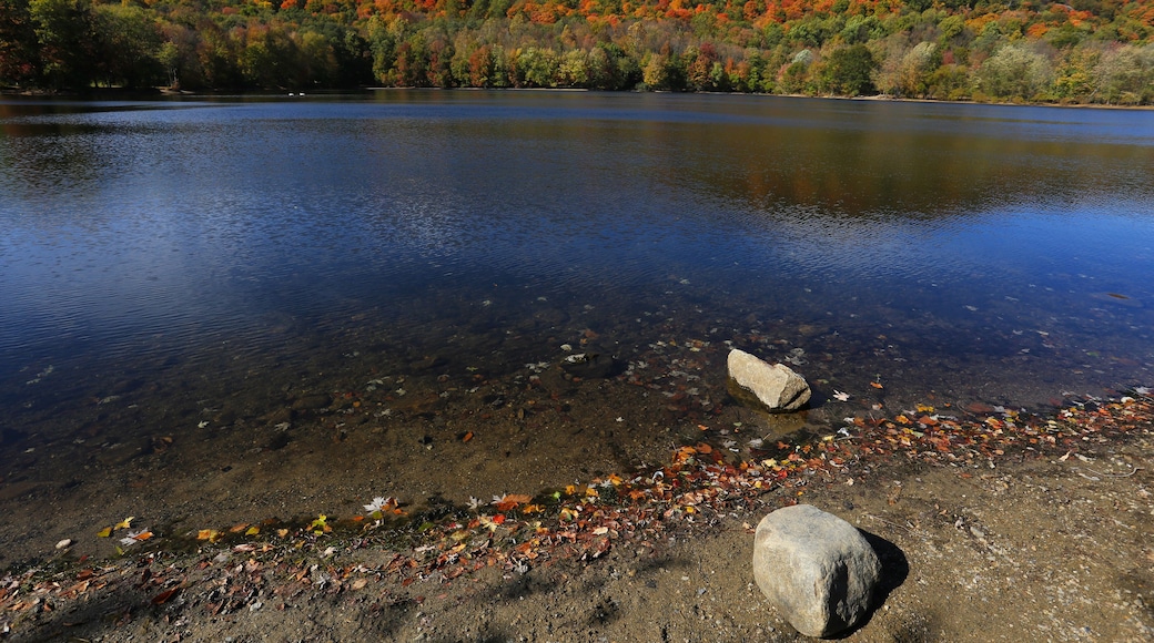 Scarlet Oak Pond in Autumn
