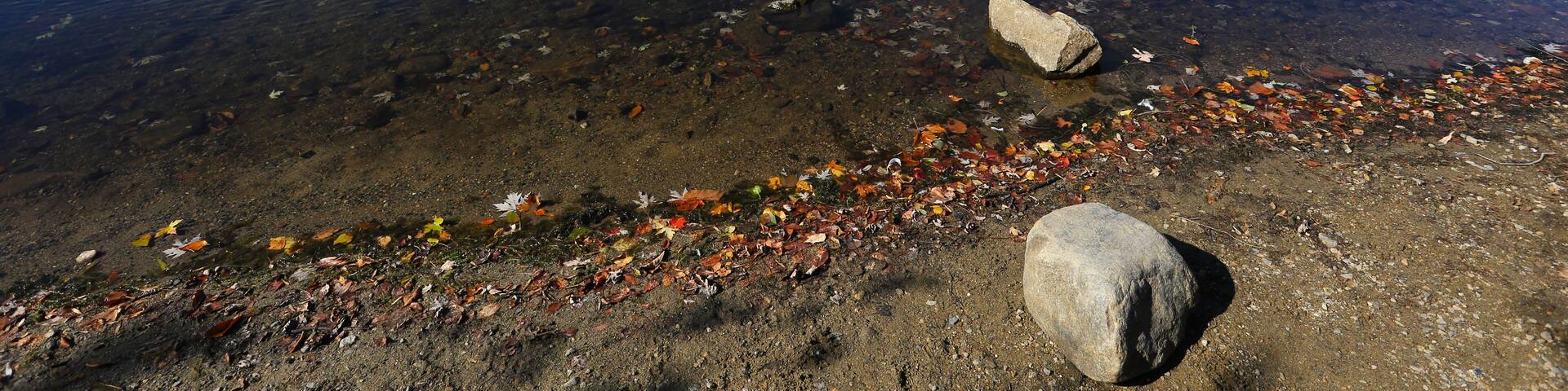 Scarlet Oak Pond in Autumn
