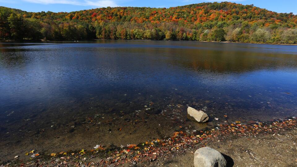 A lake with clear water, surrounded by autumn-colored trees and a rocky shoreline.
