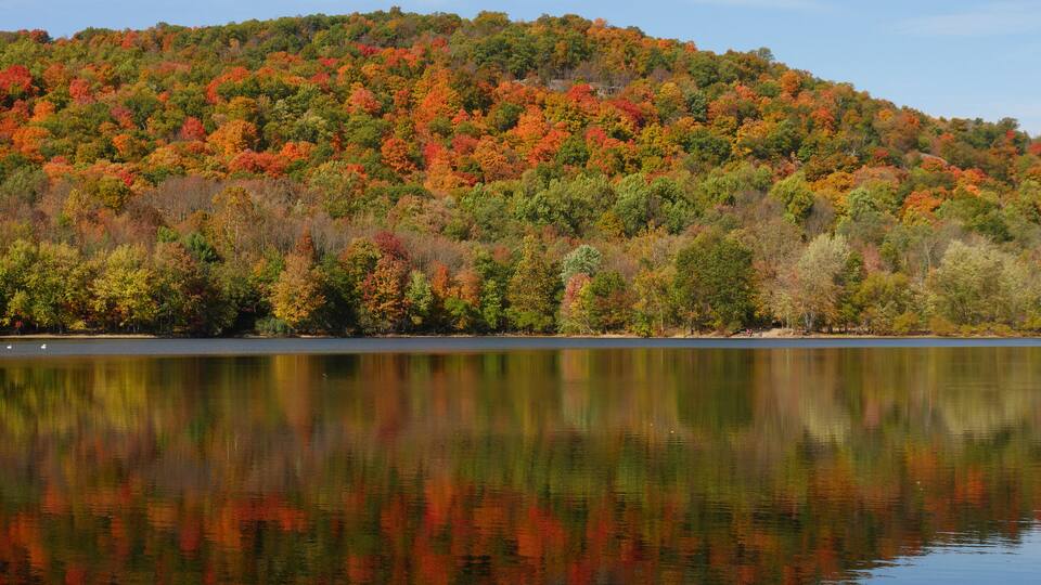A lake reflecting a forest with autumn foliage.