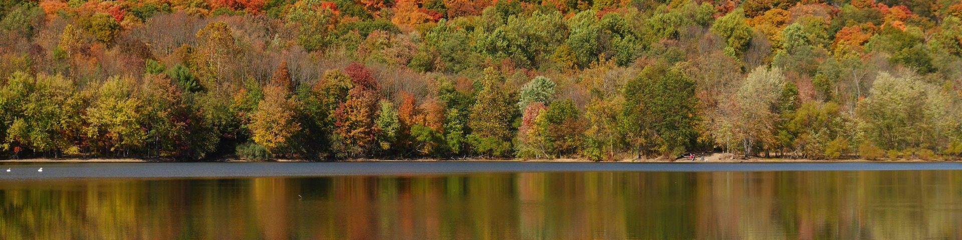 Scarlet Oak Pond-Ramapo Valley County Reservation in Mahwah