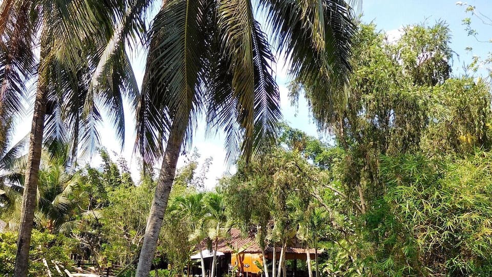 Nice garden near a good restaurant.