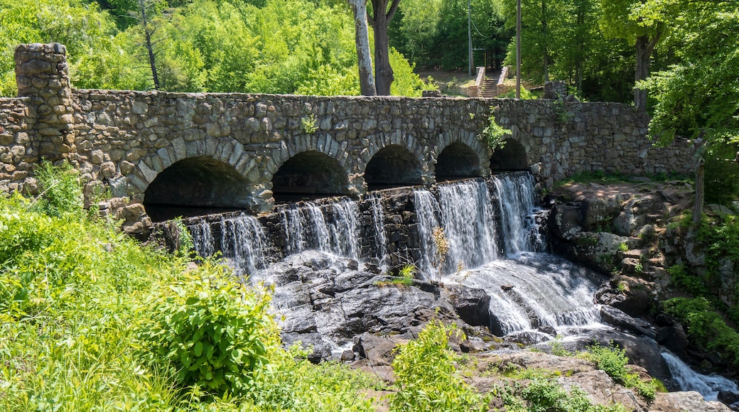 แมนเชสเตอร์