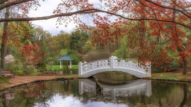 Wickham Park Connecticut in the Spring