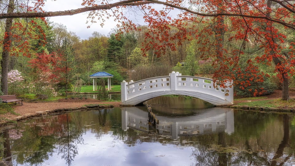 A white bridge over a calm pond, surrounded by autumn foliage and a gazebo.
