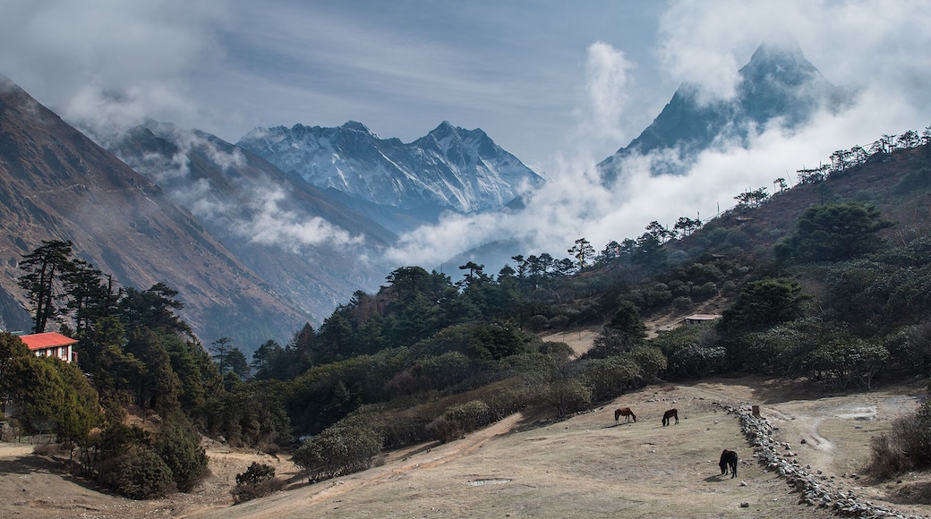 Tyangboche (aka Tengboche) village, Everest region, Nepal