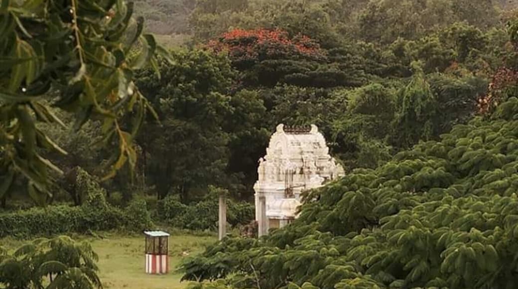 Who is searching for a quiet place for ayurvedic treatment in the nature among with wild elephants, then you should experience this magical place