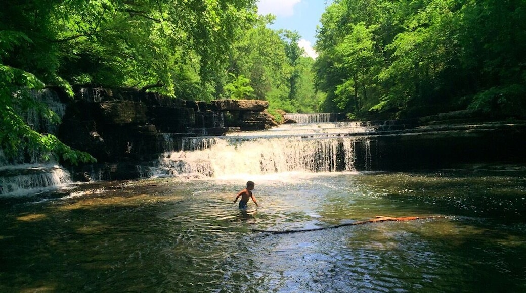 When you start the trail, go straight until you take a left. From there, continue until you see a fallen tree and wooden walkway to your left, take the walkway and follow the path down to the bottom of the falls!