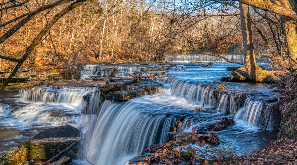 Une cascade à plusieurs niveaux, située dans une zone boisée où les feuilles d'automne sont tombées.