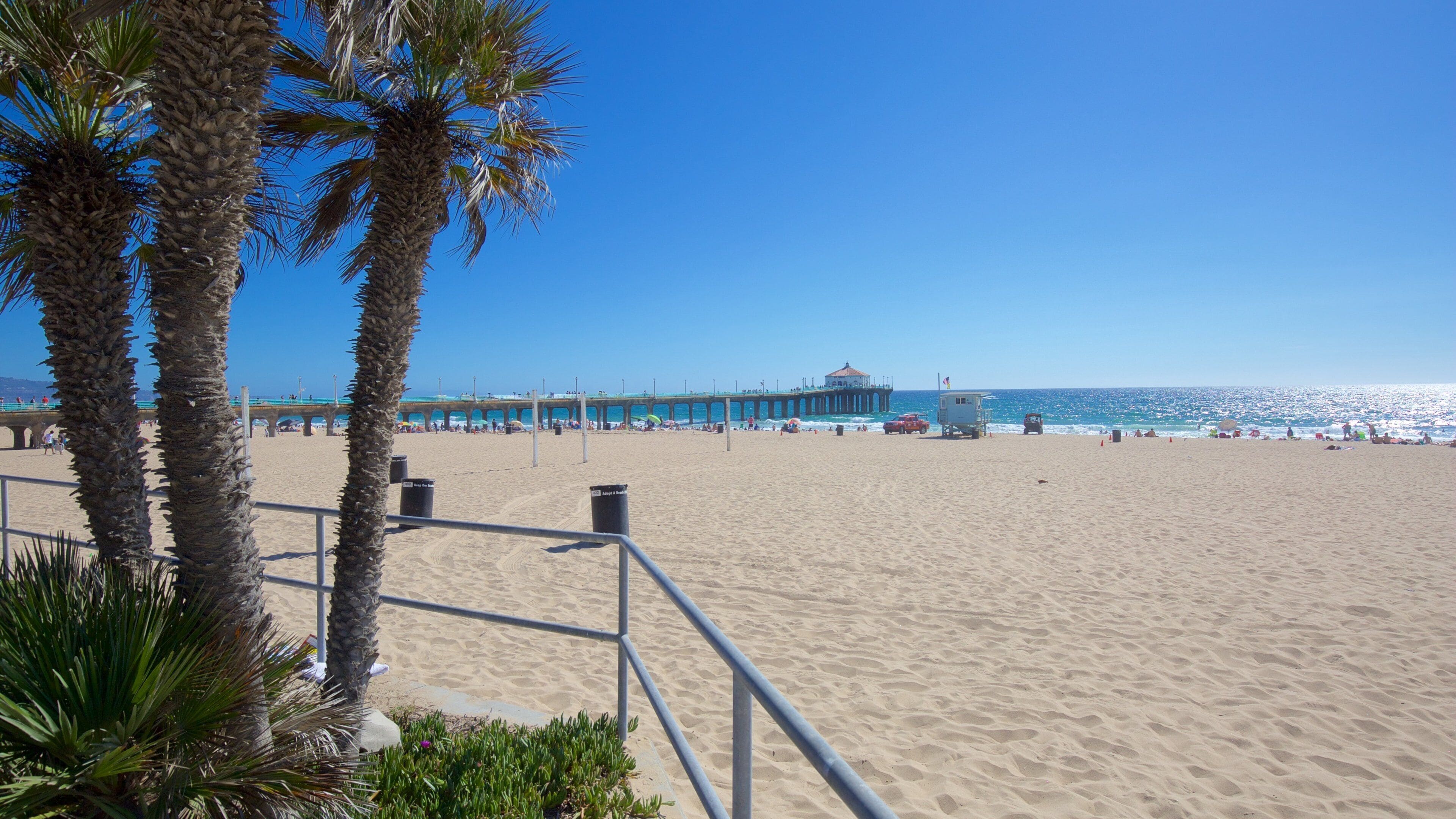 A beach with palm trees, a pier, and the ocean.