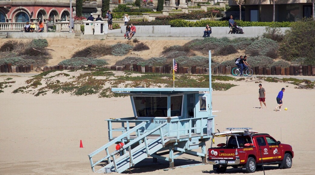 beautiful beach day in February