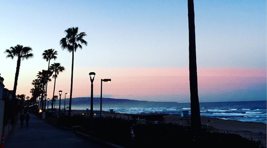 Early morning runs in Manhattan Beach