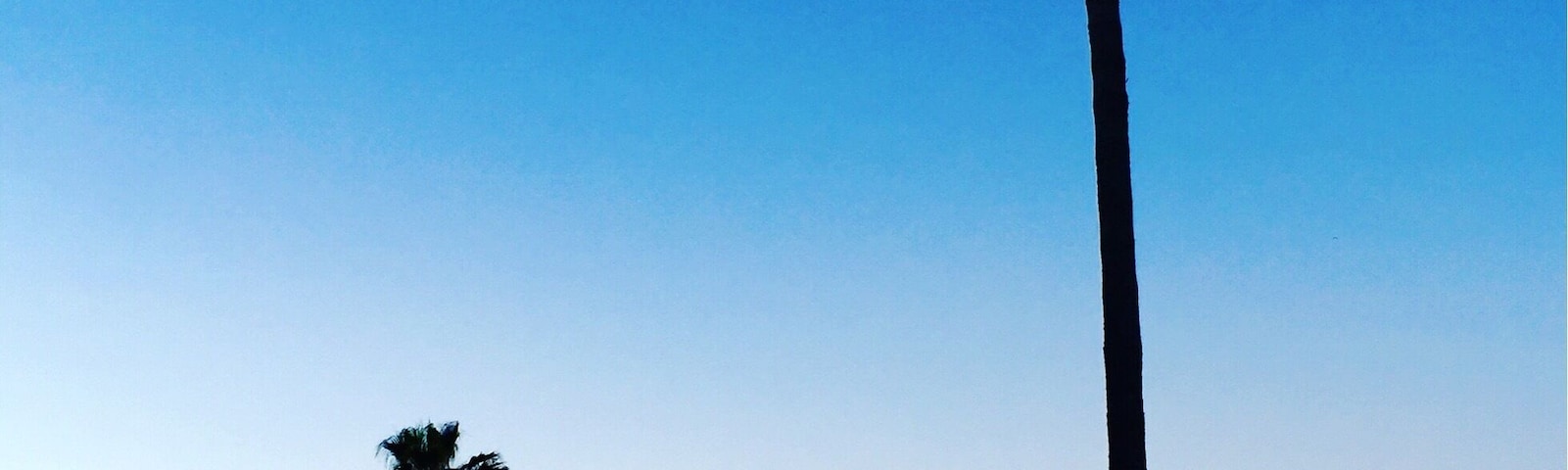 Early morning runs in Manhattan Beach