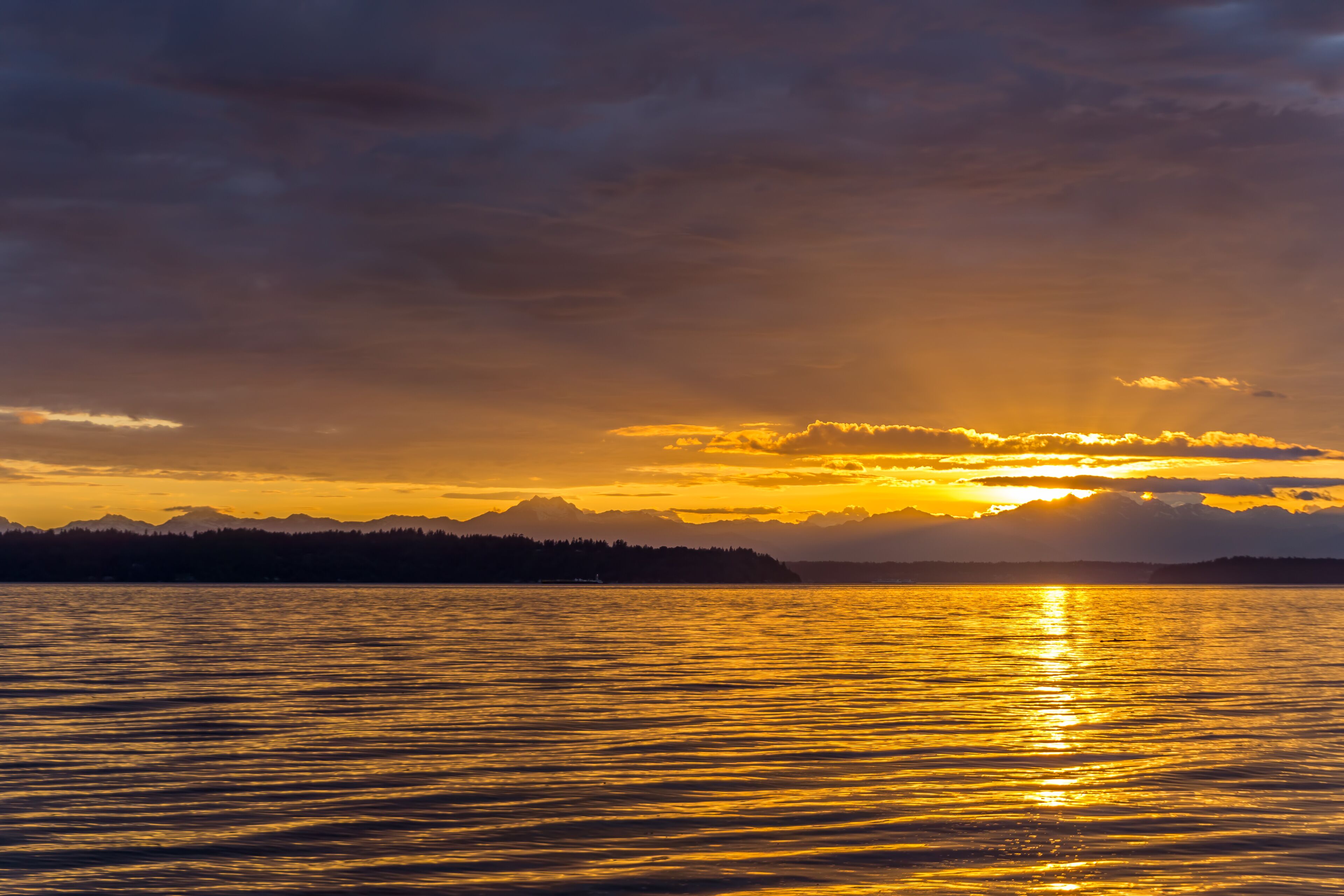 Washington Beach Sunset 8