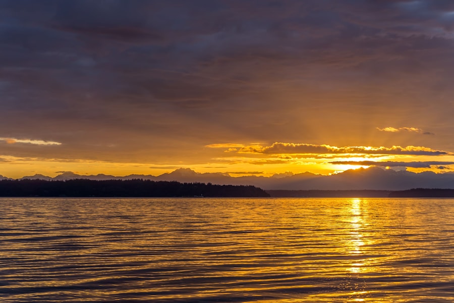 Washington Beach Sunset 8