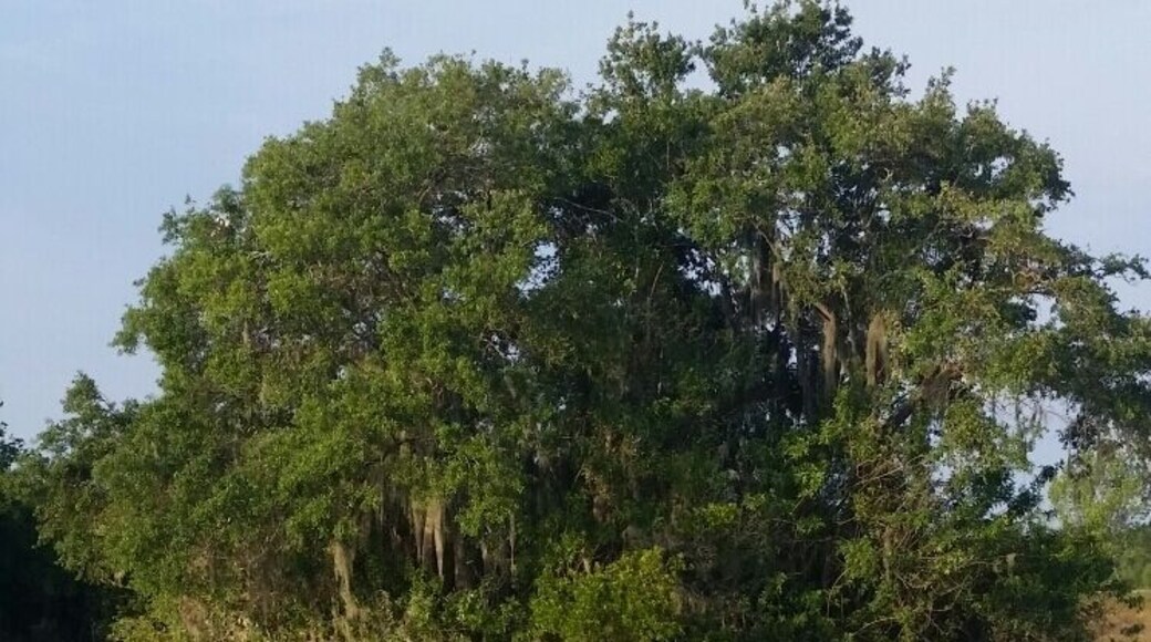 Beautiful park with camping fishing and trails..