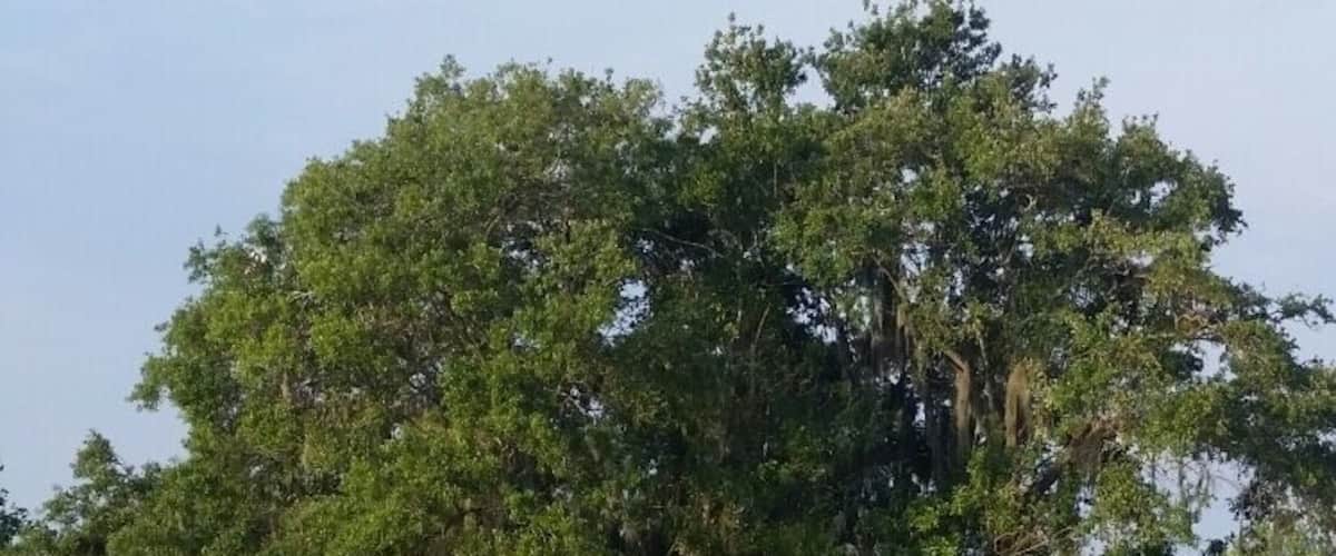 Beautiful park with camping fishing and trails..