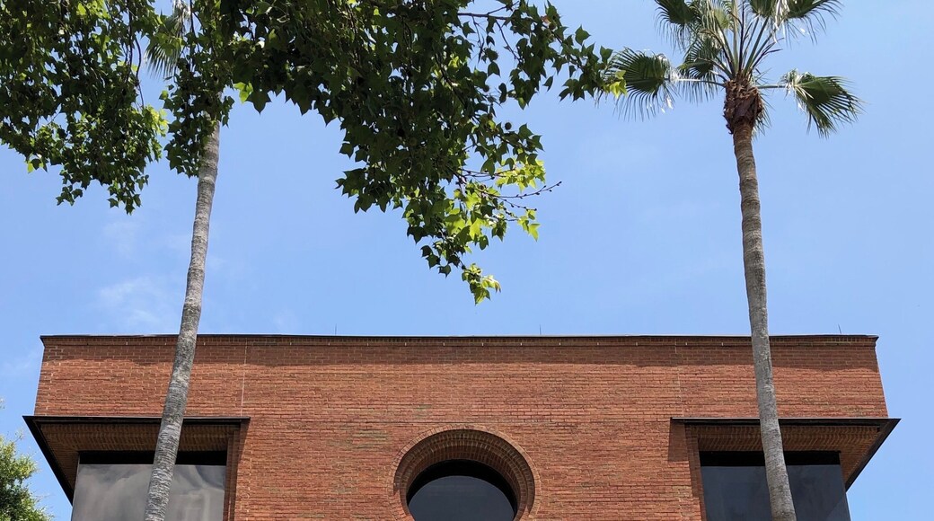 If you’re ever stuck on I-4 between Orlando and Tampa, just need a driving break or simply are in need of some #culture, take exit 31 and head over to this little gem of a museum #polkmuseumofart. It’s open 10a-5p and it’s FREE!! You won’t regret it!
#lakeland #visitcentralflorida #florida #sunshinestate #museums #art #architecture #photography