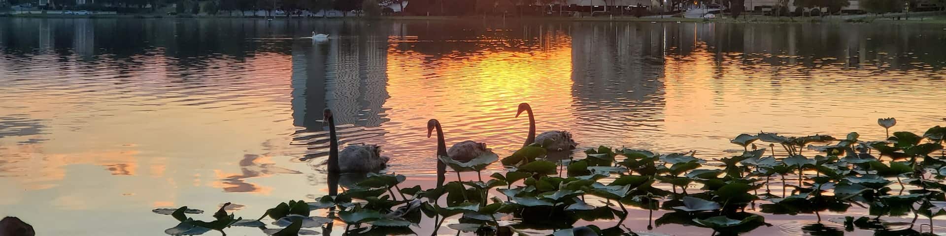 Sunset at Florida. Lakeland.