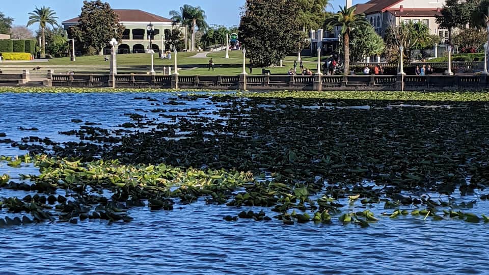 Lakeland Florida Downtown area beautiful and peaceful