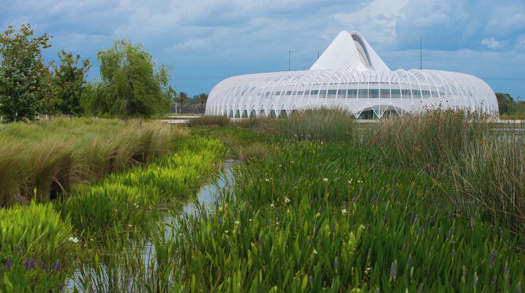 #Details
The Innovation, Science, and Technology (IST) Building is Florida Poly’s flagship building and the main classroom and laboratory building. The 162,000-square-foot, white-domed building is a moveable and functional work of art, with a louvered roof system that moves throughout the day providing passive lighting inside the second-floor atrium. The oval-shaped building is ringed by curved metal pergolas that shade its outer terrace and walkways.