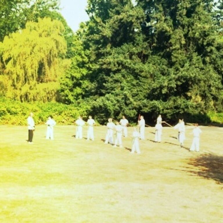 Martial arts class in the park