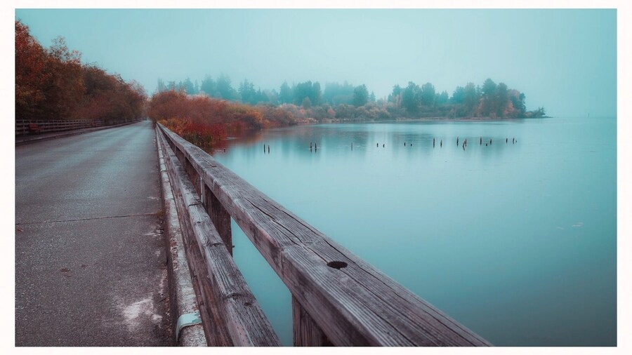 Nice place for a morning stroll.
#greatoutdoors #pnw #pacificnorthwest #kirkland #washington