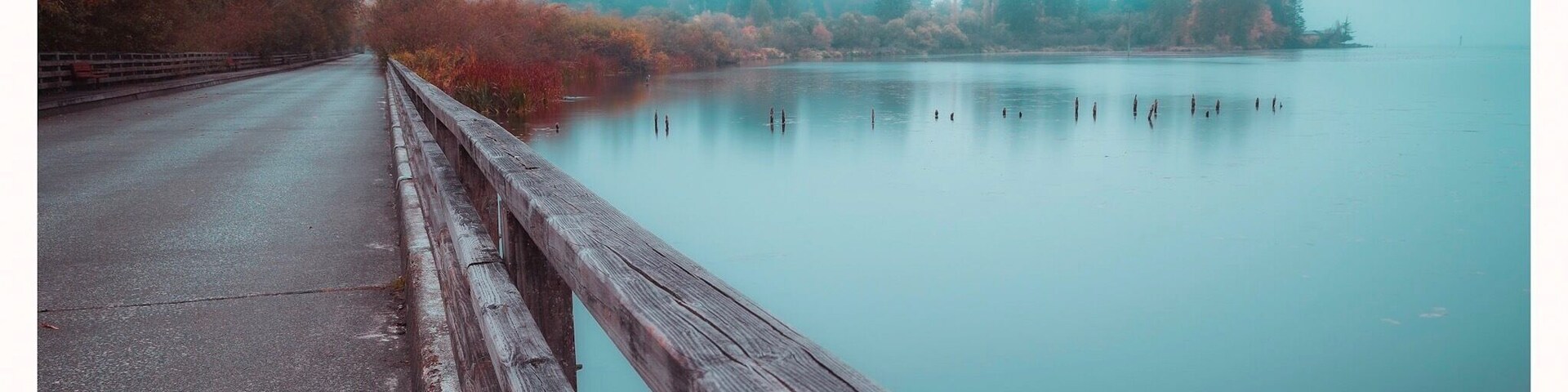 Nice place for a morning stroll.
#greatoutdoors #pnw #pacificnorthwest #kirkland #washington