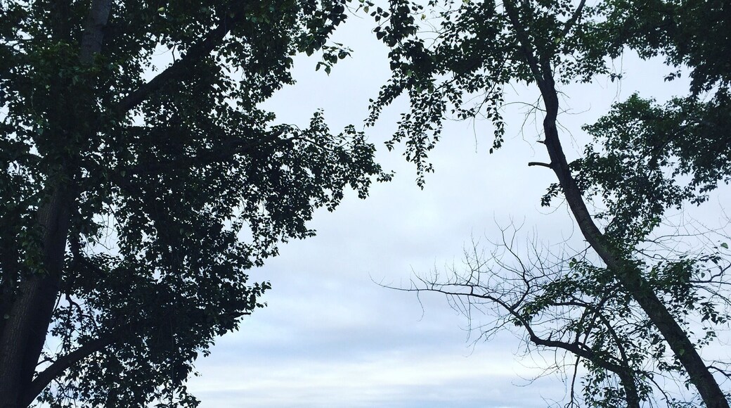 Utter Serenity on my 6 am run along Lake Washington in Kirkland
#lifeatexpedia