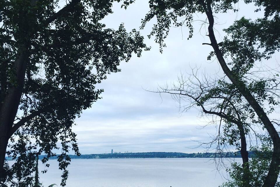 A calm lake surrounded by trees with a distant city skyline.